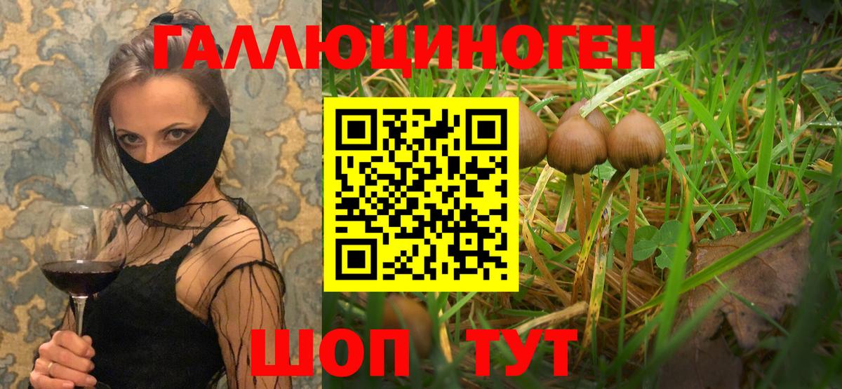 Алейск  Псилоцибиновые грибы прущие грибы  Галлюциногенные грибы Cubensis  что такое наркотик  Вход с VPN 
