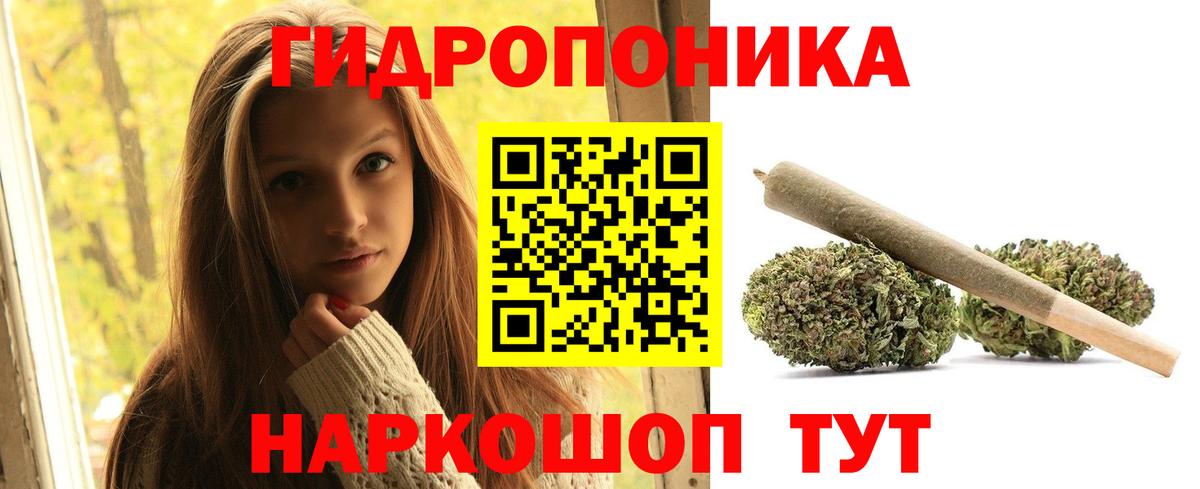 Каннабис OG Kush Алейск